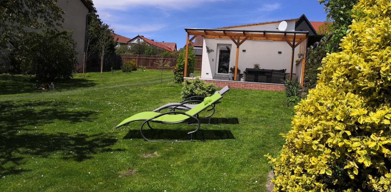 Ferienhaus Diana Im Harz Mansfeld エクステリア 写真